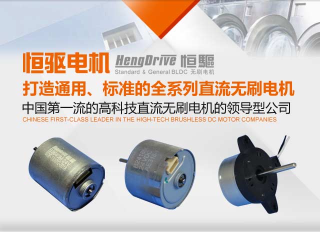 恒驱电机